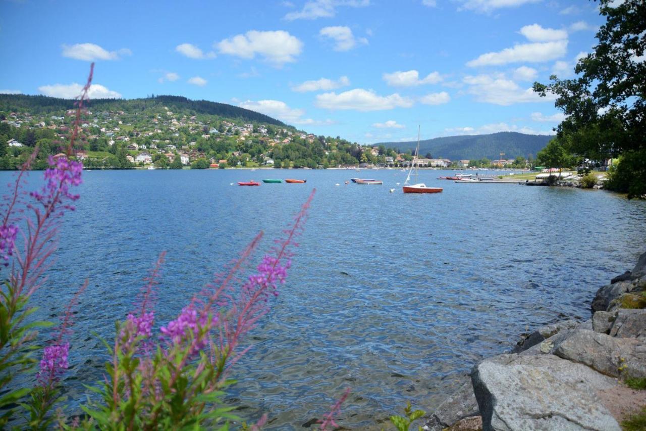 Chalet Vosgien Gérardmer Εξωτερικό φωτογραφία